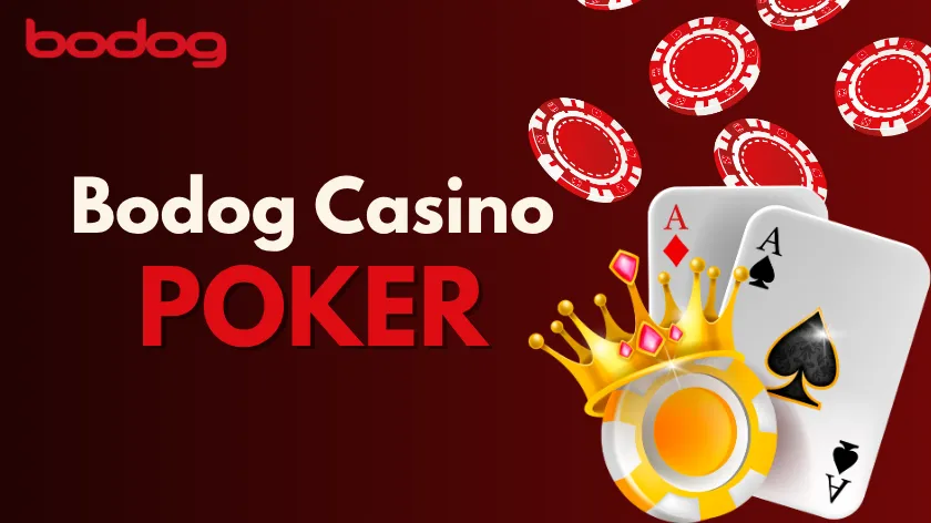 Bodog Casino Poker